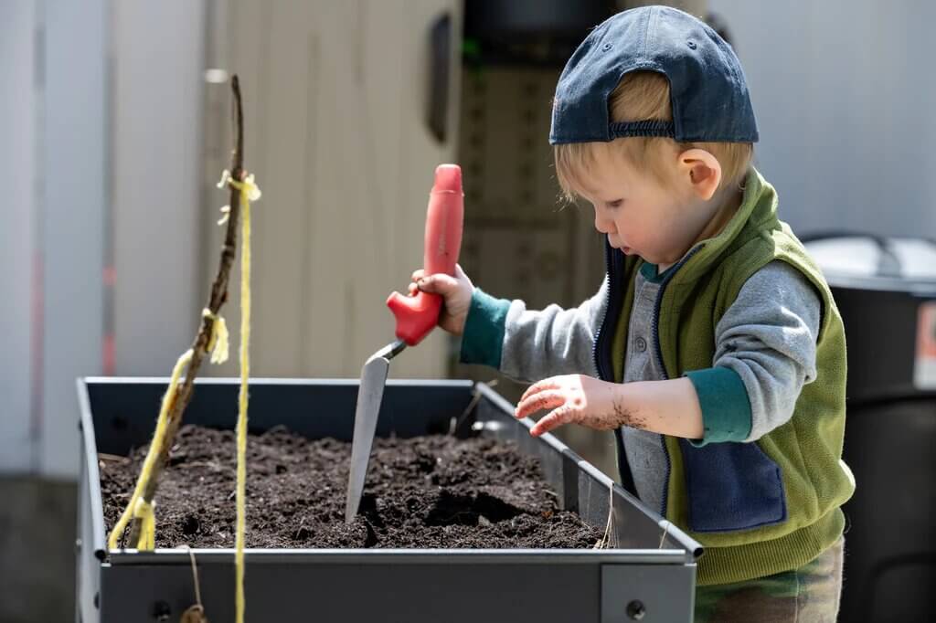 Planting with Pets in Mind: Safe and Stylish Options for Pet-Friendly Plants in Ontario