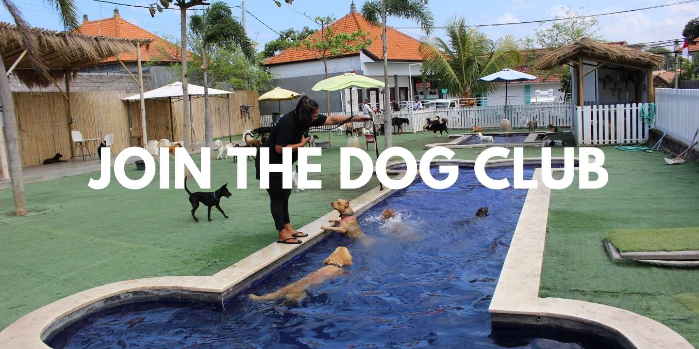 Join The Dog Club