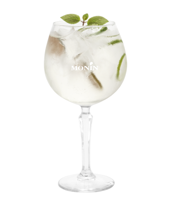 Coffret sirops pour cocktails aromatisés - Monin - 10x5cl - parfums Fruit  de la passion/Mojito Mint (menthe)/ Pamplemousse Rose/Coco/Fleur de  Sureau-recettes et astuces à l'intérieur-validité 04/2020