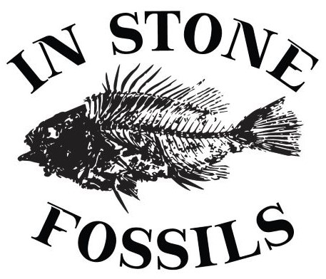 In Stone Fossils LLC logo
