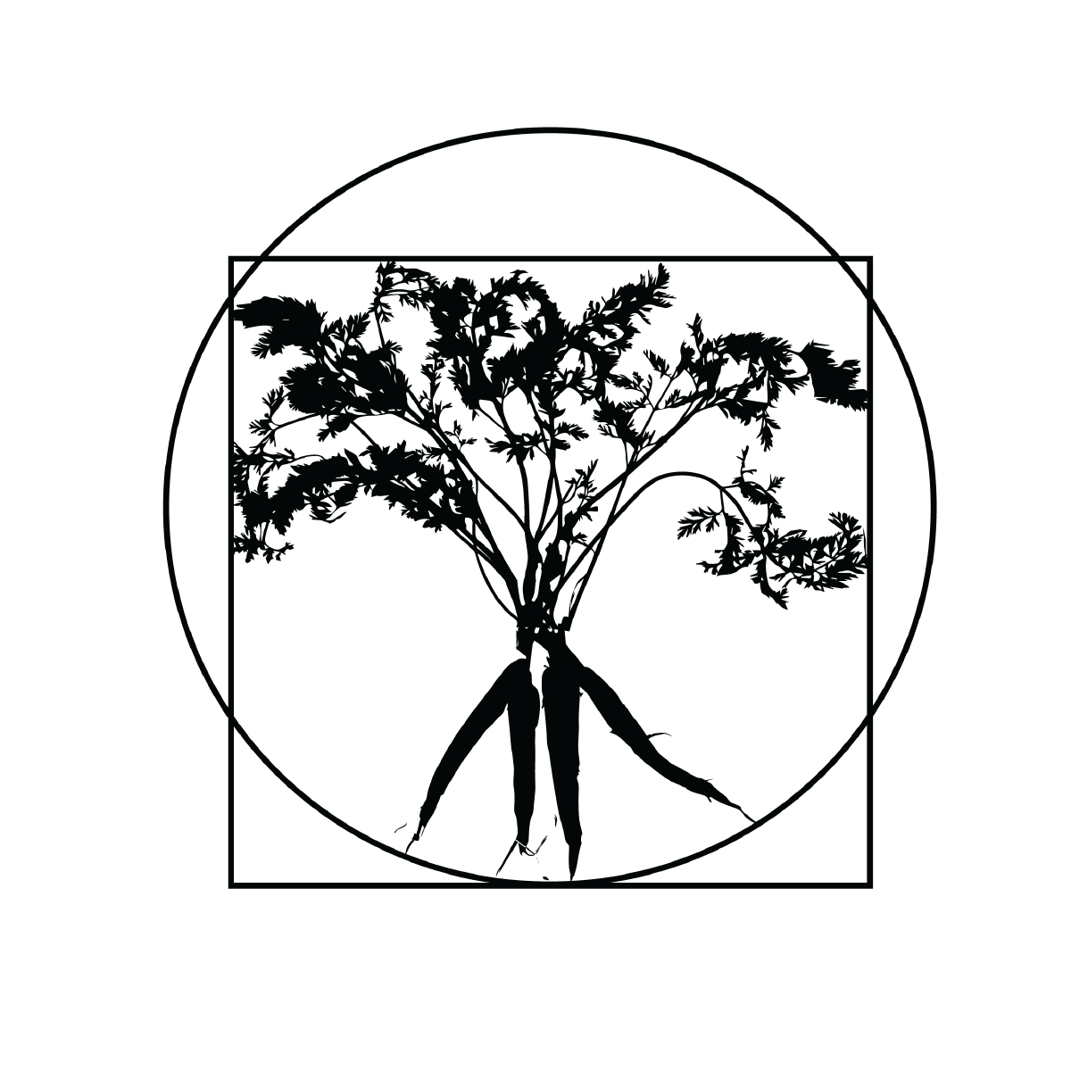 Alluvial Soil Lab logo